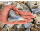 Blue Lace Agate Mine Run Rough - Namibia