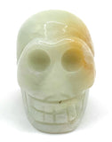 1 pc. of Amazonite Carved Skull Figurine