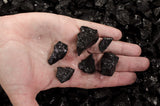 Shungite Stones from Russia - 0.5" to 2" Average Size