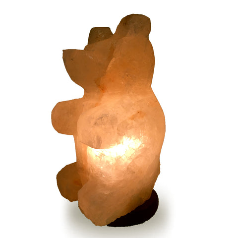 Himalayan Teddy Bear Shape Salt Lamp.