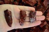 Brick Brecciated Jasper Rough Stones from Mexico