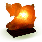 Natural Himalayan Dog Shape Salt Lamp