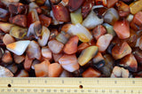 Tumbled Carnelian from Madagascar- 0.75" to 1.25" Avg. - Premium Polished Rocks!