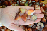 Tumbled Carnelian from Madagascar- 0.75" to 1.25" Avg. - Premium Polished Rocks!