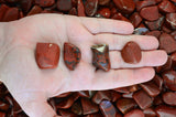 Tumbled Chestnut Jasper from Madagascar- 0.75" to 1.25" Avg. - Premium Polished Rocks!