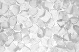 Tumbled Crystal Quartz