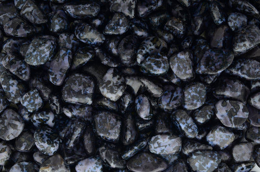 Tumbled Indigo Gabbro