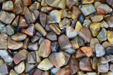 Tumbled Petrified Wood
