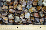Tumbled Petrified Wood From Madagascar - 0.75" to 1.25" Avg.