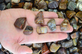Tumbled Petrified Wood From Madagascar - 0.75" to 1.25" Avg.