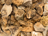 Rough Fossil Coral Stones from Indonesia