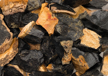 Rough Palm Root Stones from Indonesia