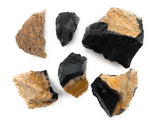 Rough Palm Root Stones from Indonesia