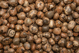 https://www.fantasiamining.com/amazon/FAN-T-Leopardite-Peru-6.jpg