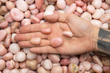 Tumbled Pink Opal From Peru
