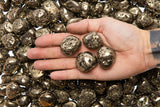 Tumbled Pyrite From Peru