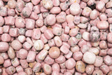 https://www.fantasiamining.com/amazon/FAN-T-Rhodonite-Peru-6.jpg