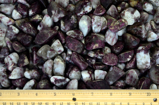 Tumbled Tourmaline From Madagascar - 0.75" - 1.25" Avg