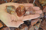 Fire Horizon Rough Stones from Mexico