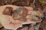 Fire Horizon Rough Stones from Mexico