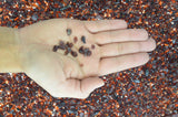 Garnet  Rough Stone Chips from Mexico