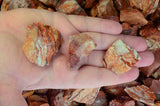Spiritite Rough Stones from Mexico