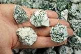 Tree Agate Rough