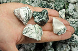 Tree Agate Rough