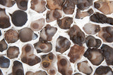 Bubble Agate Rough (aka Botryoidal Chalcedony) Stone Specimen from Morocco.