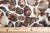 Bubble Agate Rough (aka Botryoidal Chalcedony) Stone Specimen from Morocco.
