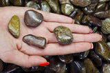 Tumbled Bronzite - X-Large