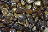 Tumbled Bronzite - X-Large