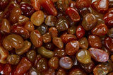 Tumbled Carnelian - "AA" Grade