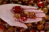 Tumbled Carnelian - A Grade