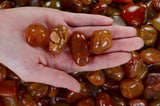 Tumbled Carnelian - A Grade