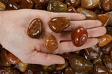 Tumbled Carnelian - B Grade