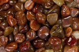 Tumbled Carnelian - B Grade