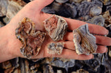 RARE Natural Zeusite Rough