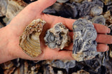 RARE Natural Zeusite Rough