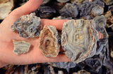 RARE Natural Zeusite Rough