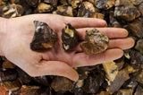 Coconut Jasper Mine Run Rough