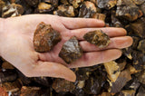 Coconut Jasper Mine Run Rough