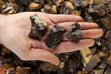 Coconut Jasper Mine Run Rough