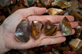 Desert Jasper Mine Run Rough - Madagascar