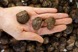 Mali Garnet Mine Run Rough