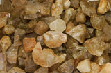 Golden Citrine Mine Run Rough