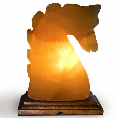Natural Himalayan Horse Head Shape Salt Lamp