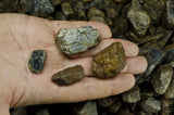 Blue Sapphire Mine Run Rough