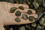 Blue Sapphire Mine Run Rough