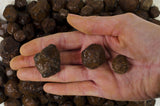 Pointed Garnet Rough Stones from India